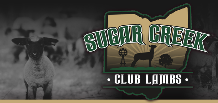 Sugar Creek Club Lambs