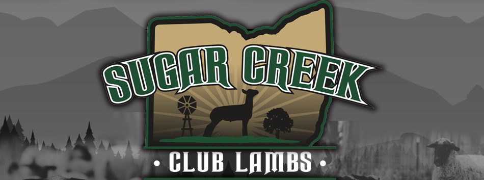 Sugar Creek Club Lambs