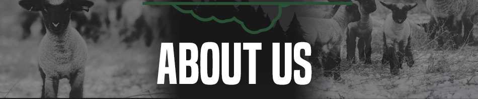 About Us